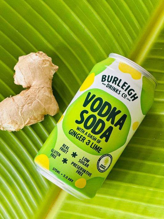 Ginger Lime Vodka Soda 16 x 375ml