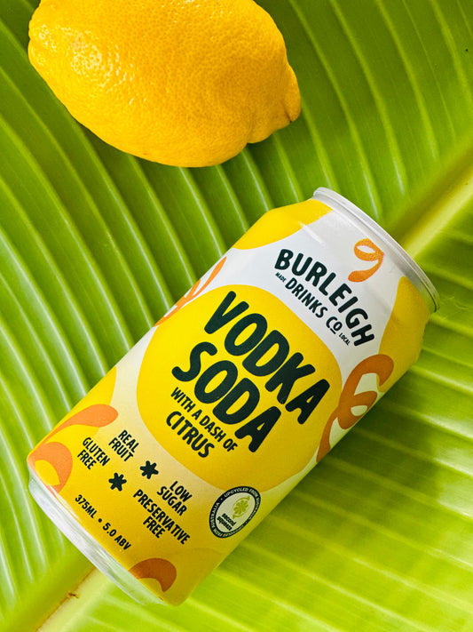 Citrus Splash Vodka Soda 16 x 375ml